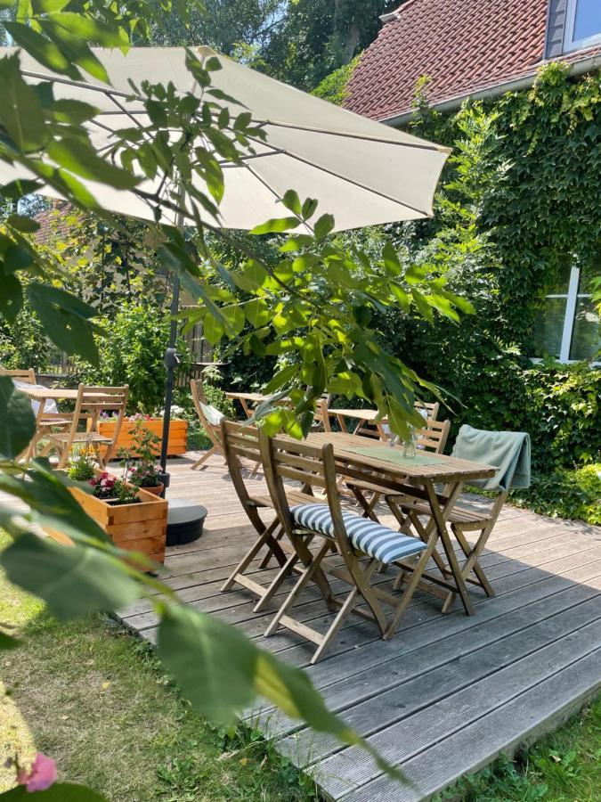 Kleiner Wacholder 3*