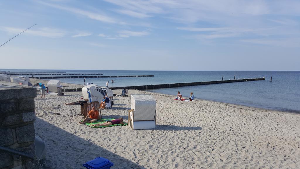 Kleiner Wacholder